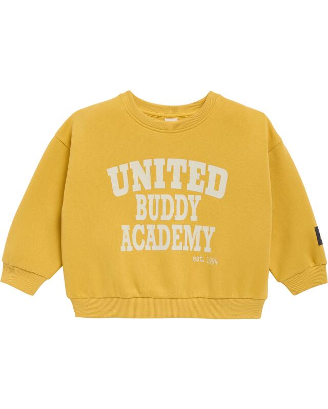Sweat garçon, jaune moutarde (KiK Sweatshirt in Senfgelb (senfgelb)) — KiK, produit allemand authentique au Maroc