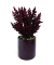 Kunstblume Heidekraut altrosa