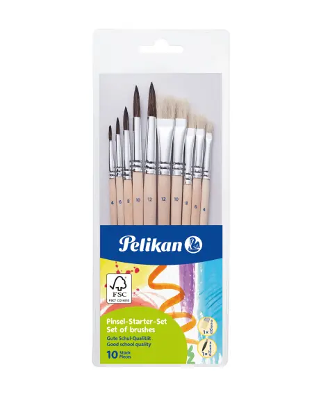 Pinsel-Starter-Set