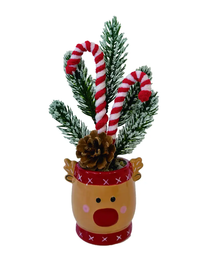 Weihnachtsgesteck im Topf, grün