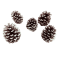 Tannenzapfen Weihnachten weiß