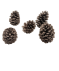 Tannenzapfen Weihnachten braun