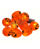 Halloween LED-Lichterkette orange