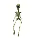 Halloween Deko-Skelett