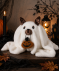 Poduszki w kształcie motywów halloweenowych biały