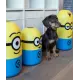 keeeper Aufbewahrungsbox Kevin