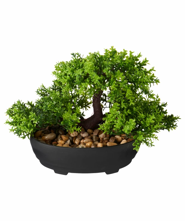 kunstbonsai-gruen-k_S1136489_prod_1807_01_HS_643.jpg