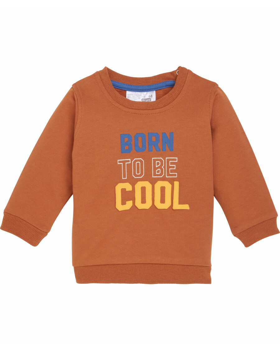 babys-sweatshirt-cognac-k_S1156770_prod_2050_01_EP_885.jpg