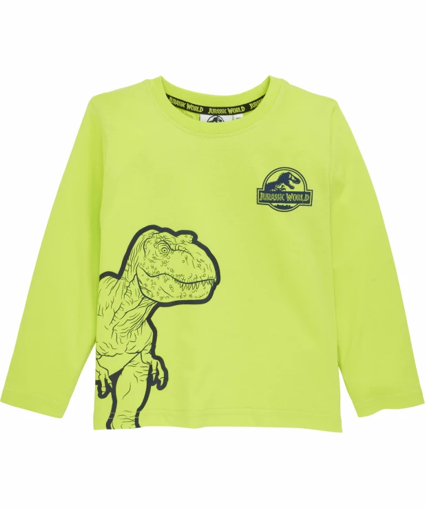 jungen-langarmshirt-limette-k_S1164254_prod_1845_01_EP_861.jpg